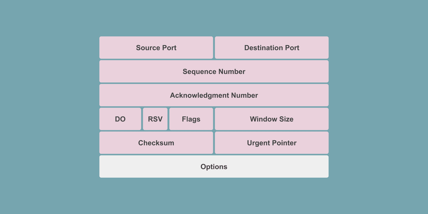 What Information Is Stored in TCP's Header?