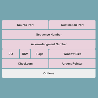 TCP의 헤더에는 어떤 정보들이 담겨있는걸까?